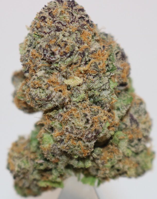 Purple Punch